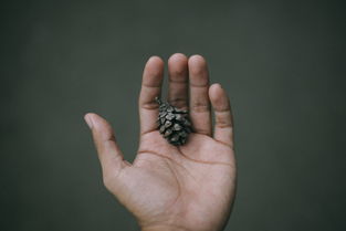 同志代怀生子中心：宝宝吃手吃到手指脱皮起茧怎么办？